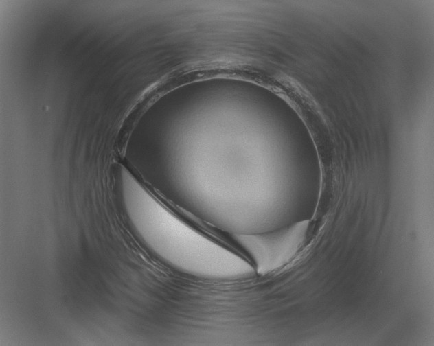 X0000082201210200702092352