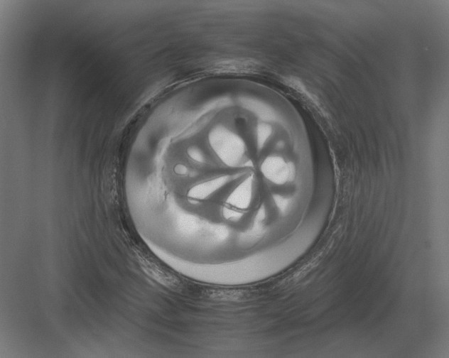 X0000082201211200702092352