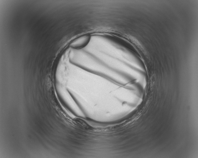 X0000082201212200702092352