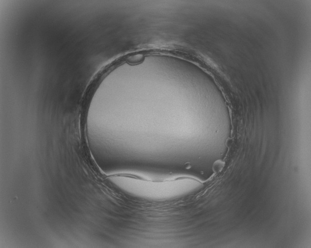 X0000082201214200702092352