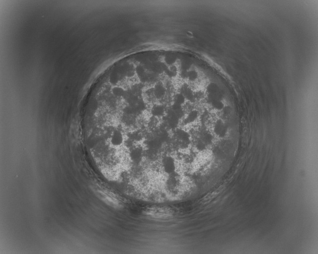 X0000082201215200702092352