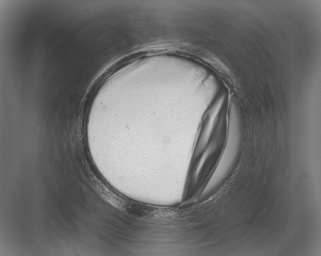 X0000082201216200702092352