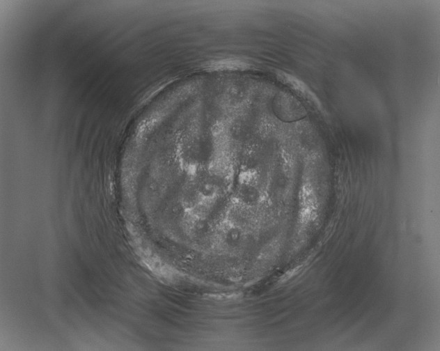 X0000082201217200702092352