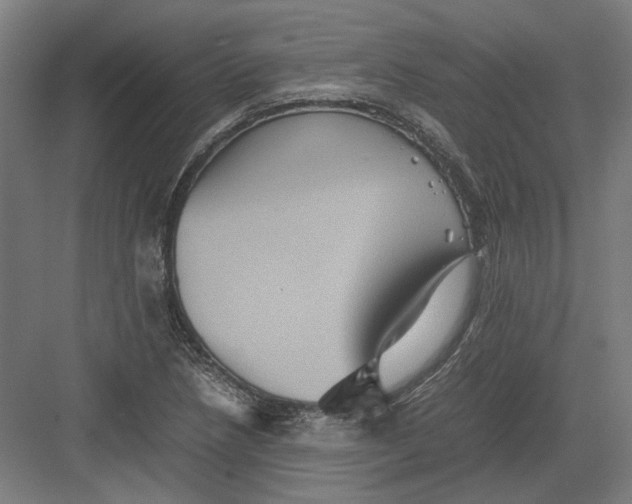 X0000082201218200702092352