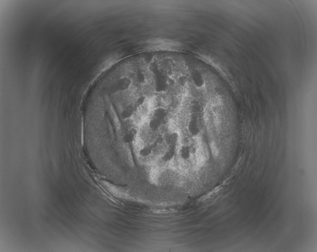 X0000082201219200702092352