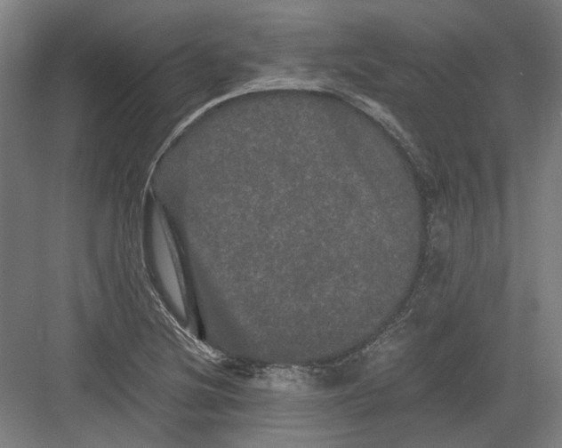 X0000082201220200702092352