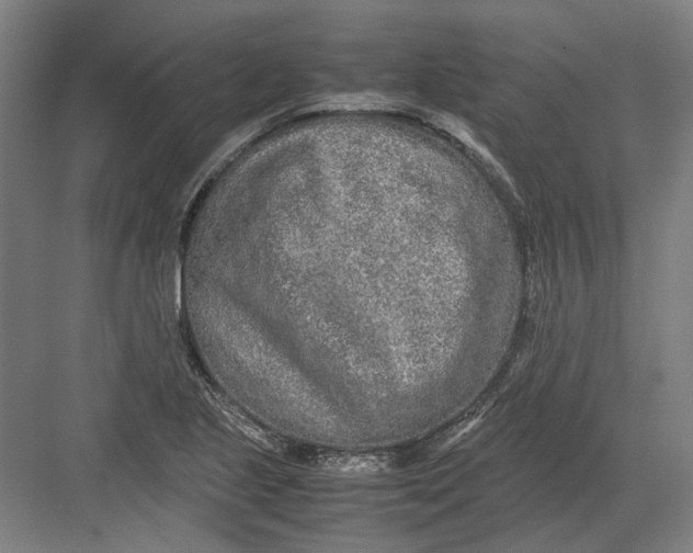 X0000082201221200702092352