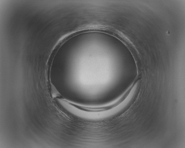 X0000082201222200702092352