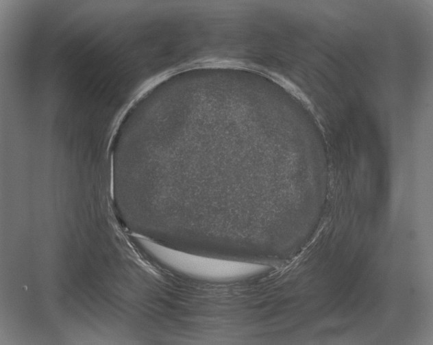 X0000082201223200702092352