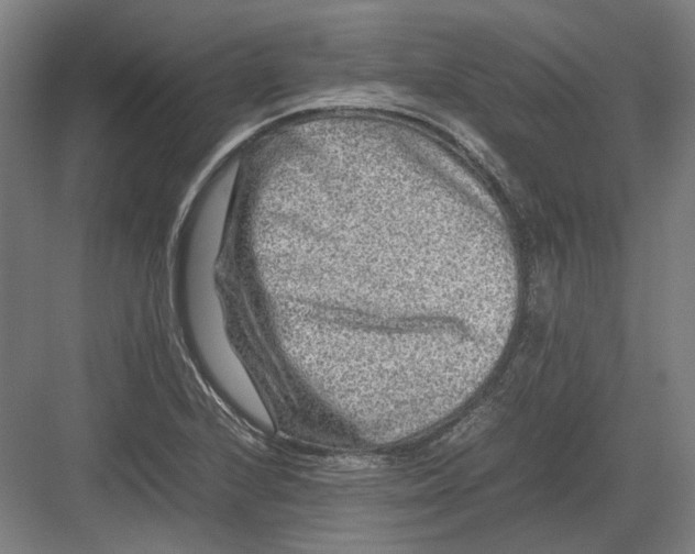 X0000082201224200702092352