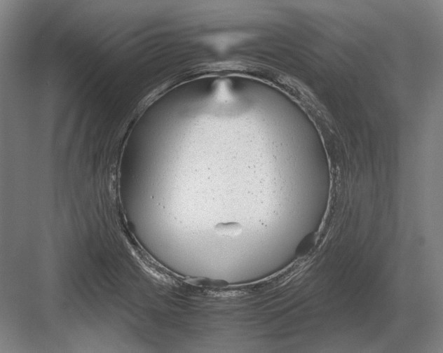 X0000082201225200702092352