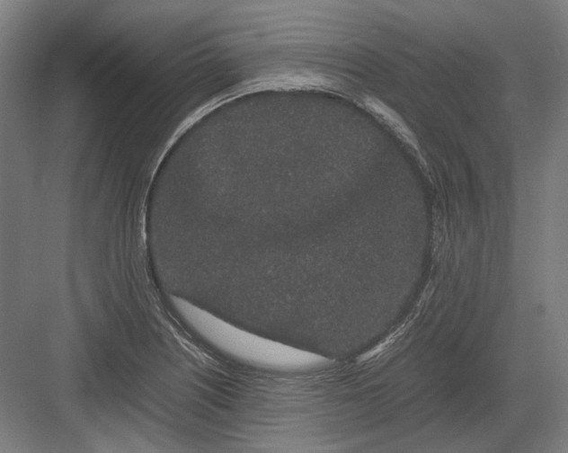 X0000082201226200702092352