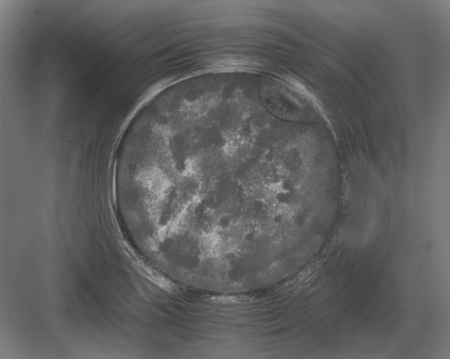 X0000082201227200702092352