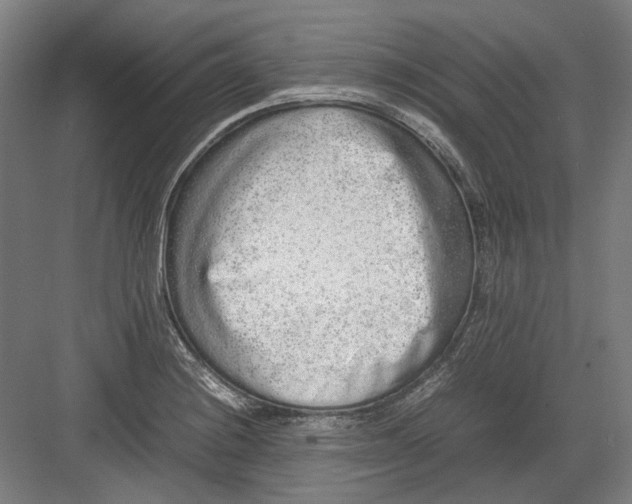 X0000082201228200702092352