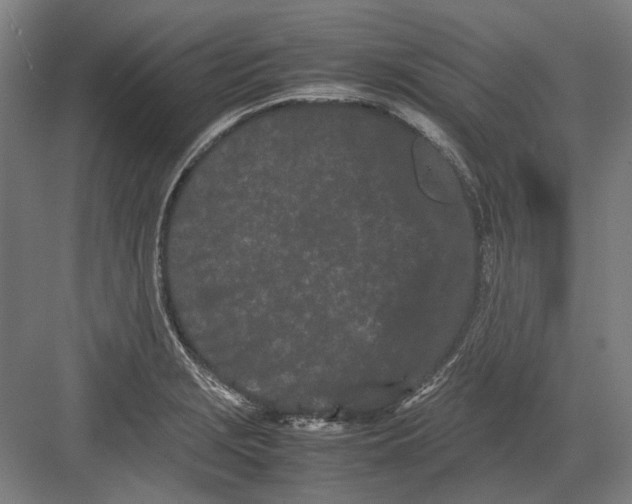 X0000082201229200702092352