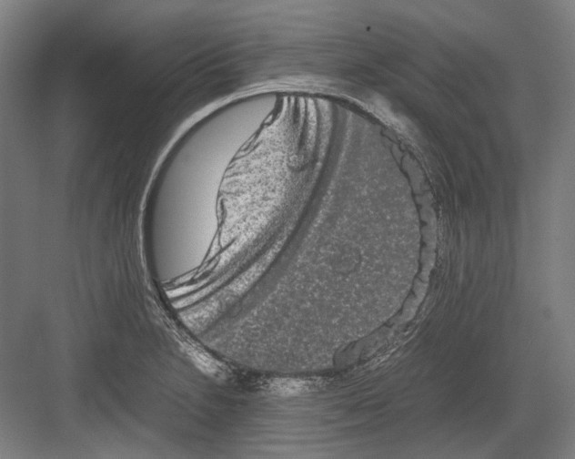 X0000082201230200702092352