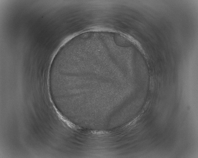 X0000082201231200702092352