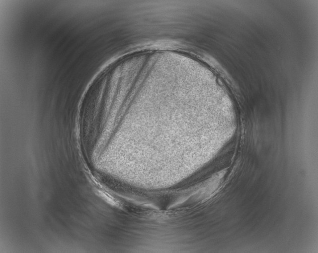 X0000082201232200702092353