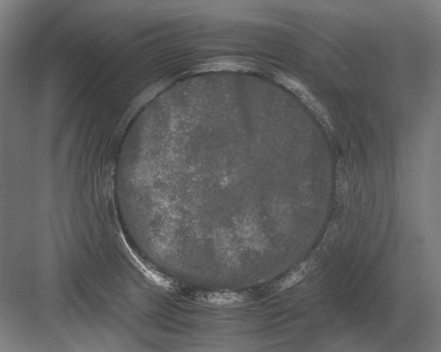 X0000082201233200702092353