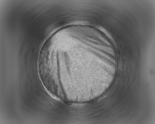 X0000082201237200702092353