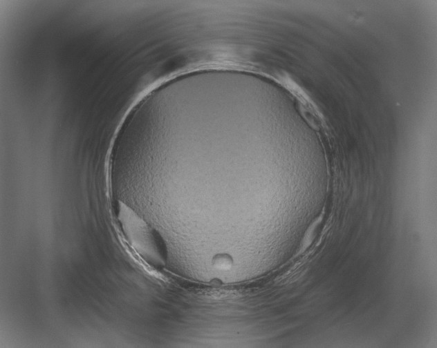 X0000082201238200702092353