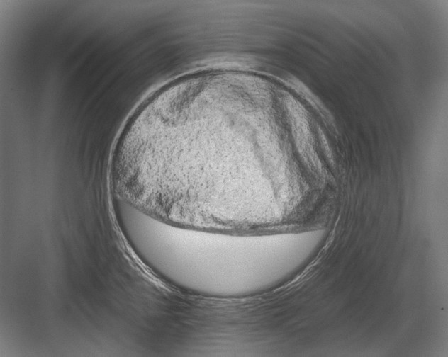 X0000082201240200702092353