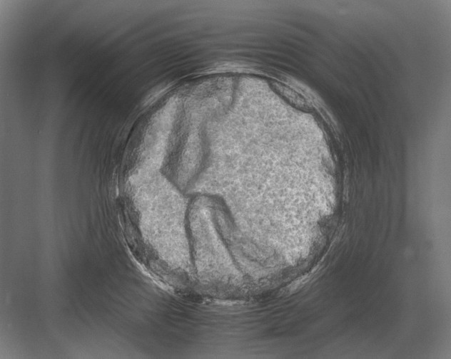 X0000082201241200702092353