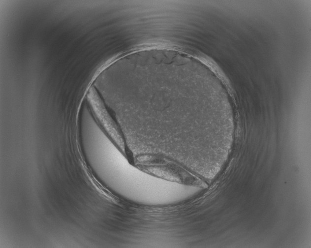 X0000082201242200702092353