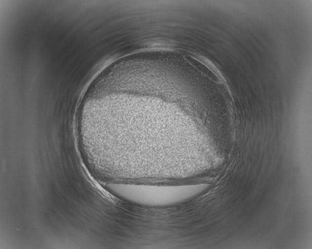 X0000082201243200702092353