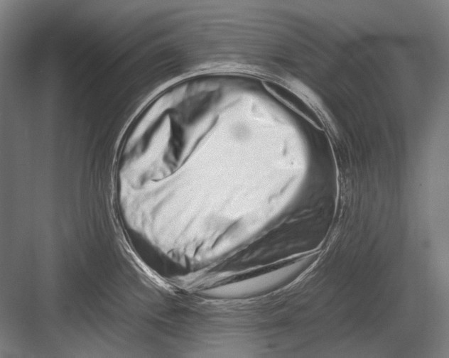 X0000082201244200702092353