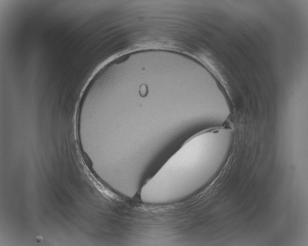 X0000082201246200702092353