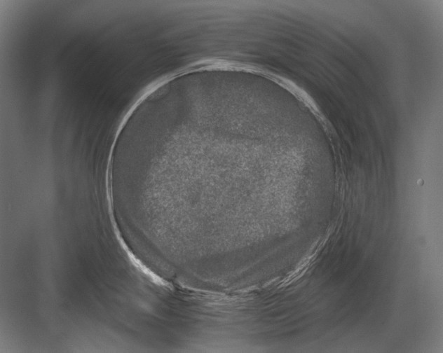 X0000082201247200702092353