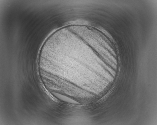 X0000082201248200702092353