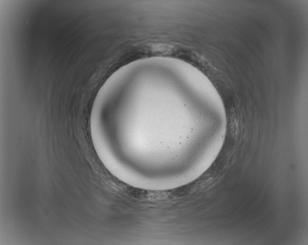 X0000082201249200702092352