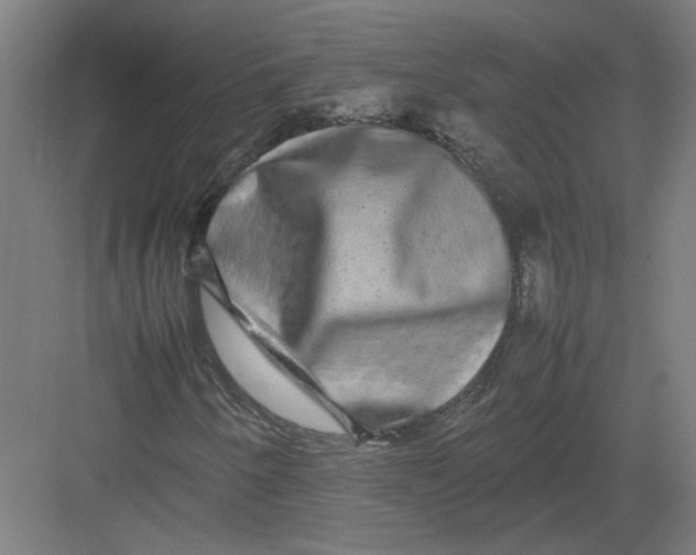 X0000082201250200702092352