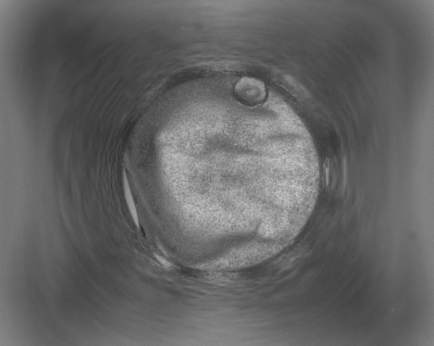 X0000082201251200702092352