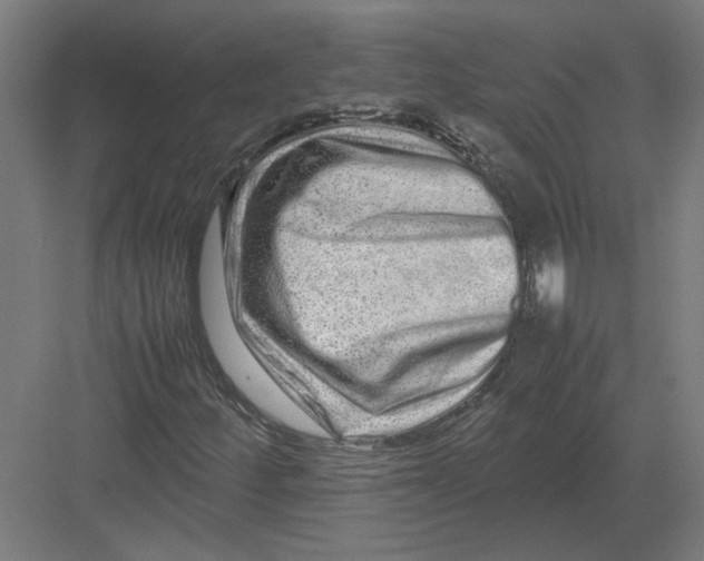 X0000082201252200702092352