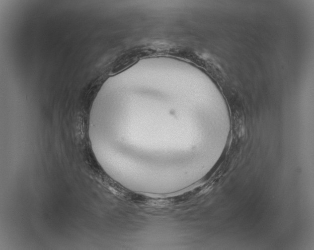 X0000082201253200702092352