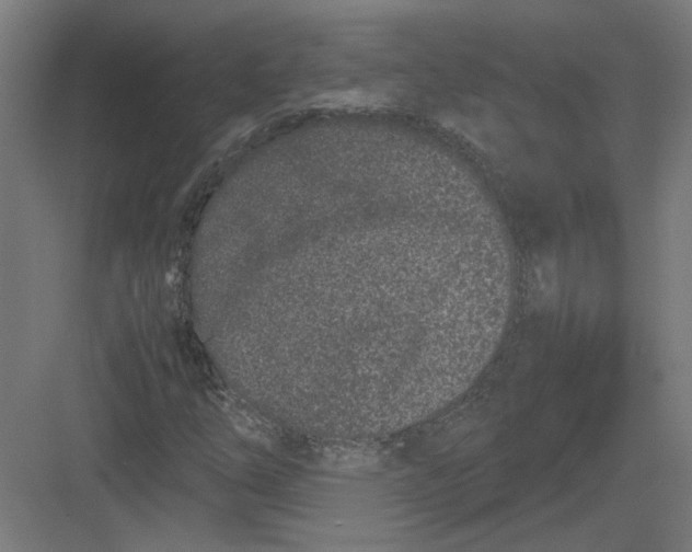 X0000082201254200702092352