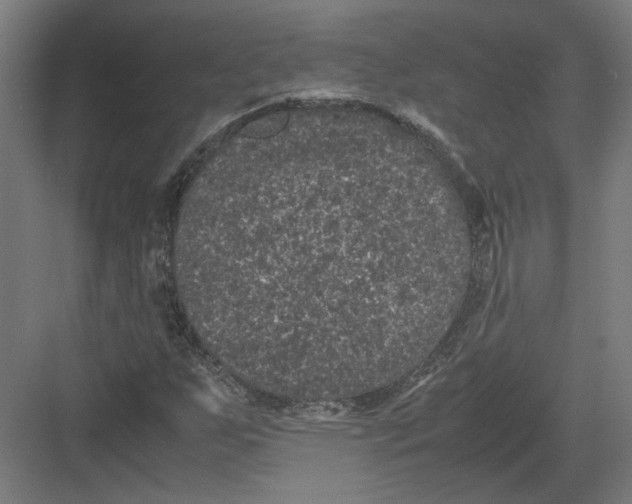 X0000082201255200702092352