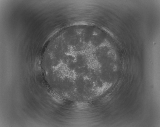 X0000082201258200702092352