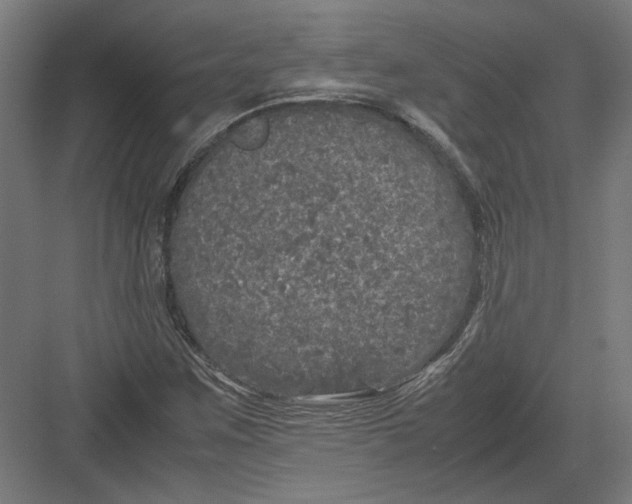 X0000082201259200702092352