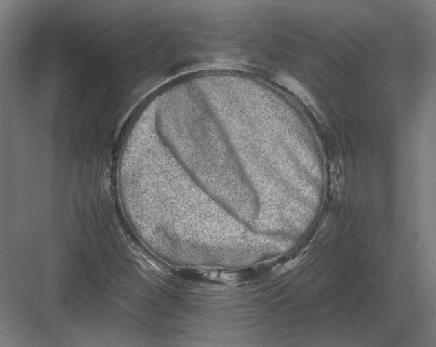 X0000082201260200702092352