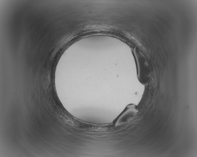 X0000082201261200702092352