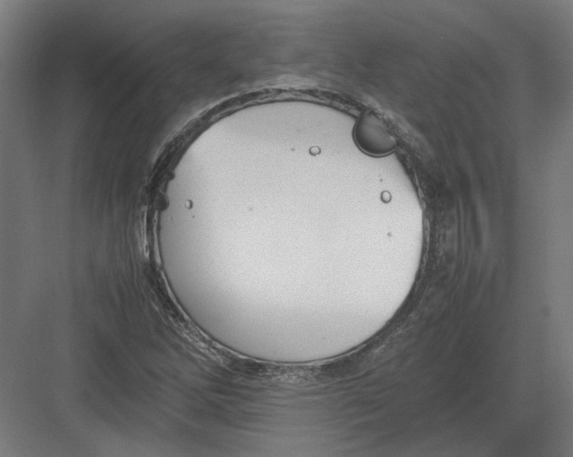 X0000082201262200702092352