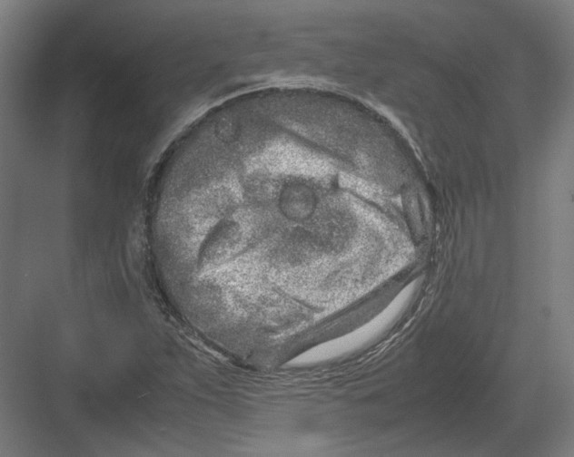 X0000082201263200702092352