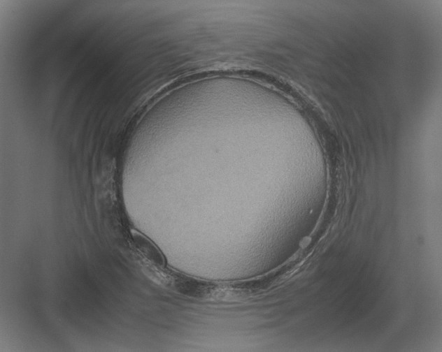 X0000082201265200702092352