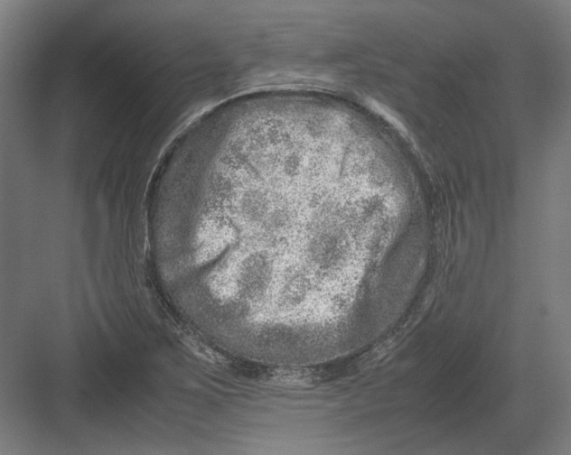 X0000082201267200702092352