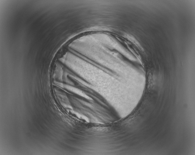 X0000082201268200702092352