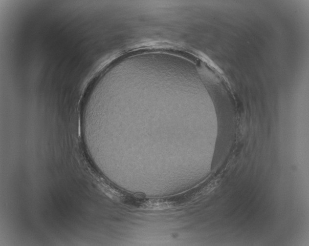 X0000082201269200702092352